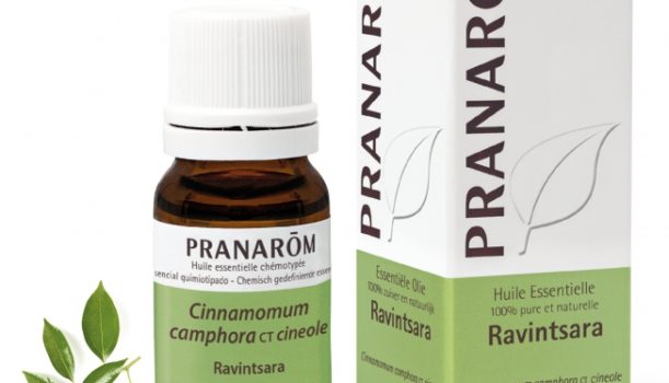 Ραβιντσάρα (Cinnamomum camphora CT 1,8 cinéole)